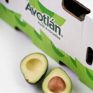 Mexican Hass Avocados - 10 kg Box