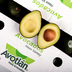 Mexican Hass Avocados - 5 kg Box